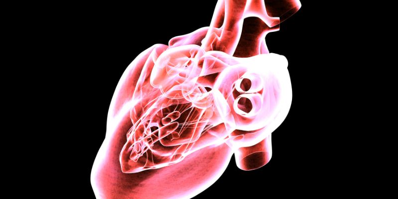 ωοειδές τρήμα